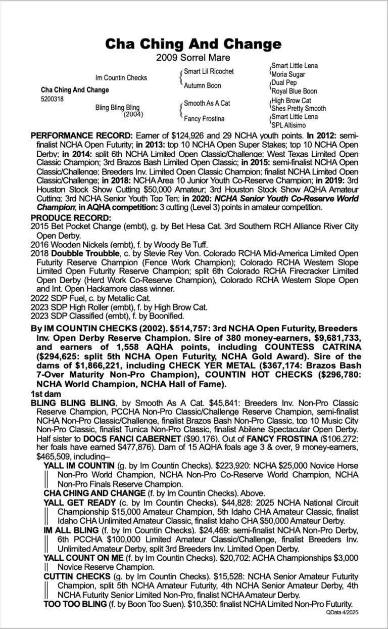 Screenshot 2025-05-06 at 8.13